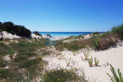 Torre Lapillo beach, the most beautiful in Salento? - The Puglia ...